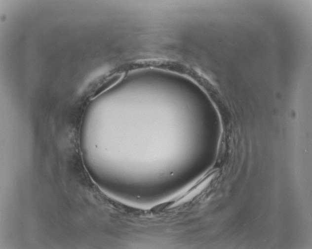 X0000060771351200511241743