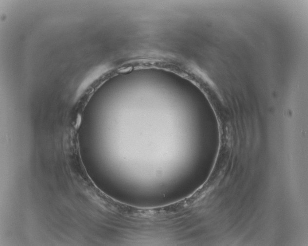 X0000060771352200511241743