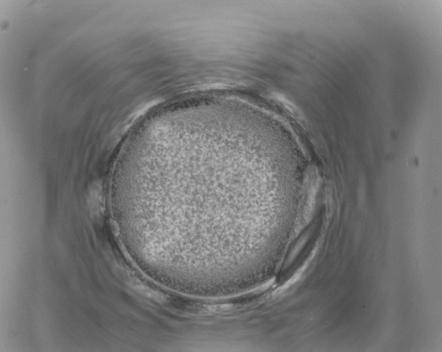 X0000060771353200511241743