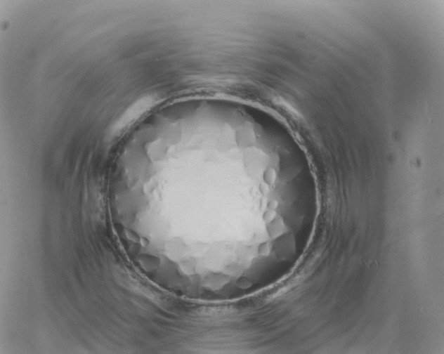 X0000060771354200511241743