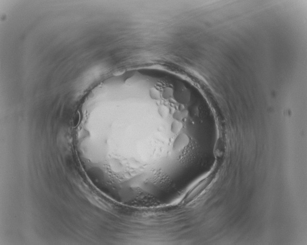 X0000060771355200511241743