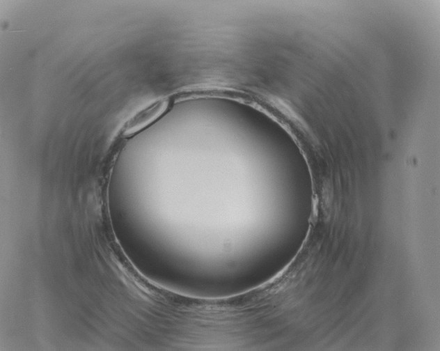 X0000060771356200511241743