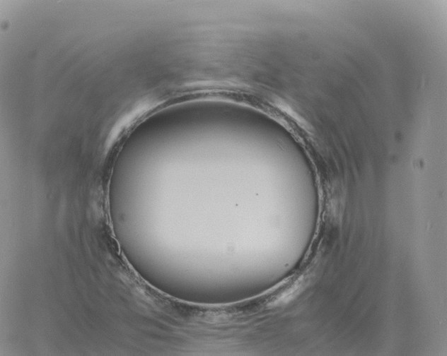 X0000060771357200511241743