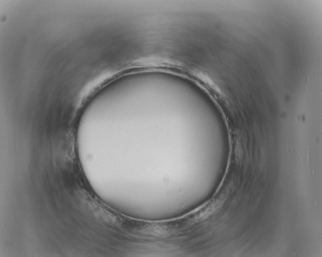 X0000060771358200511241743