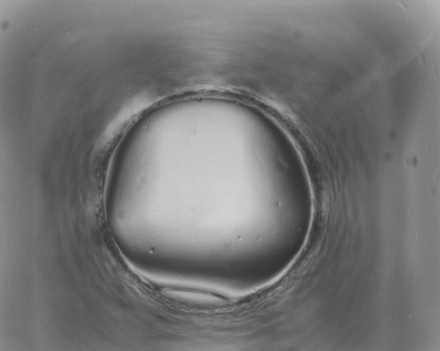 X0000060771359200511241743