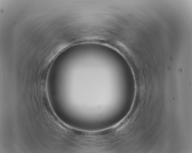 X0000060771361200511241743