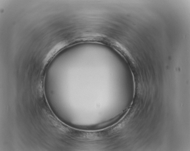 X0000060771362200511241743