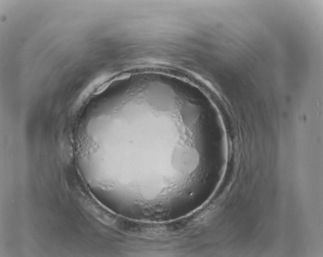 X0000060771363200511241743