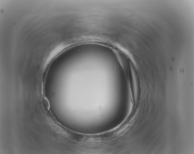 X0000060771365200511241743