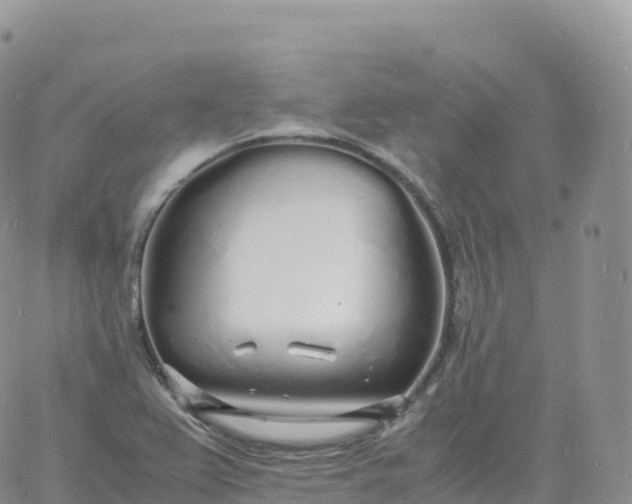 X0000060771367200511241743