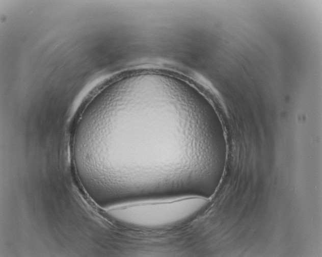 X0000060771368200511241743