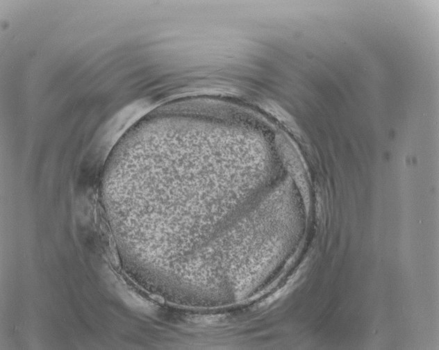 X0000060771369200511241743