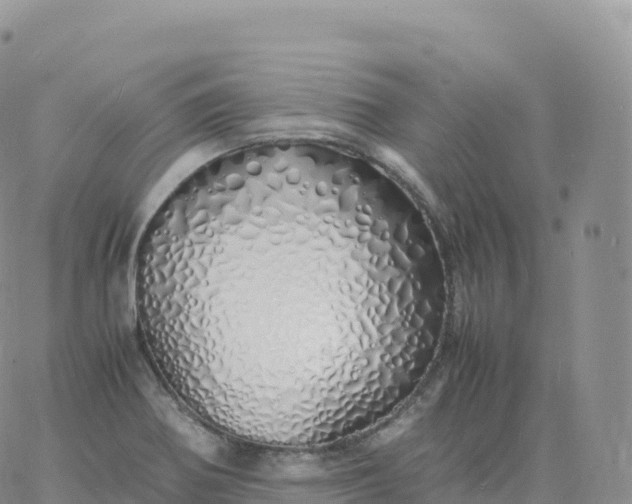 X0000060771370200511241743