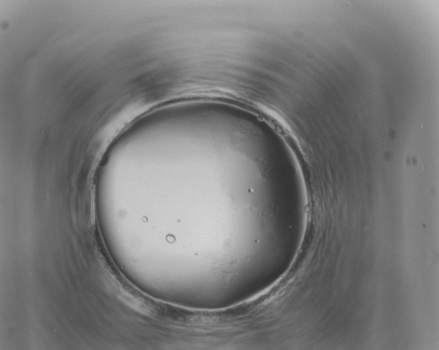 X0000060771371200511241743