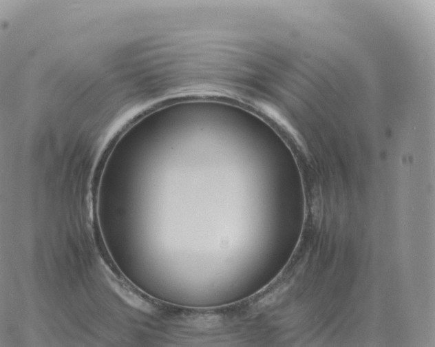 X0000060771372200511241743