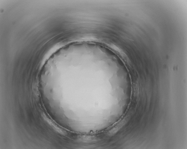 X0000060771374200511241743