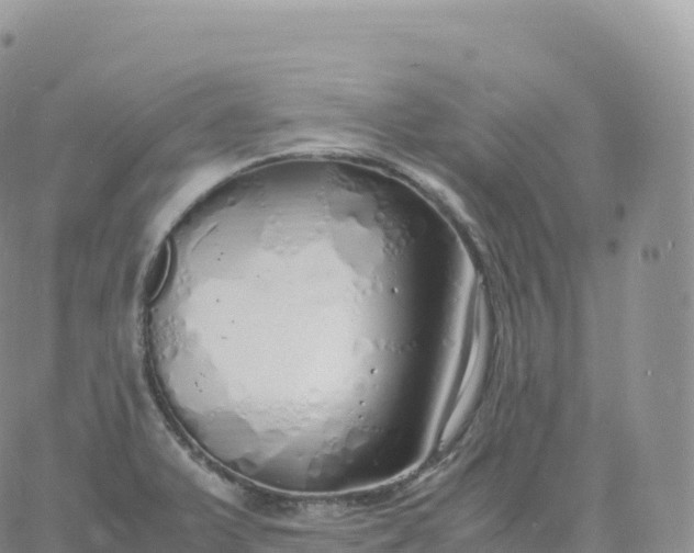 X0000060771375200511241743