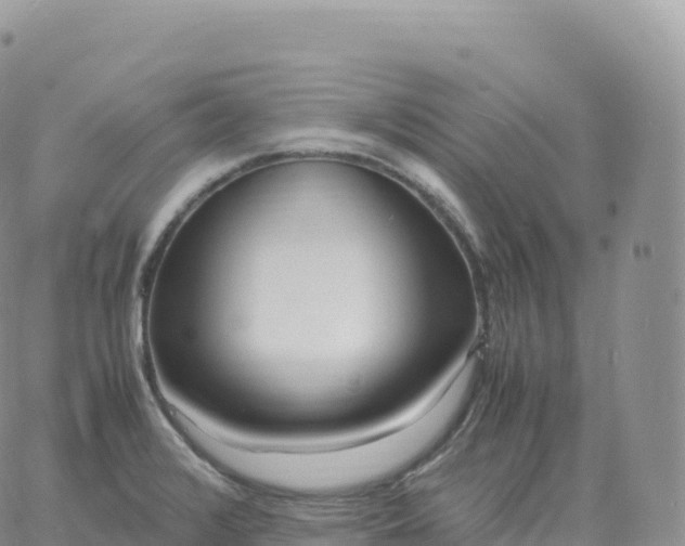 X0000060771376200511241743