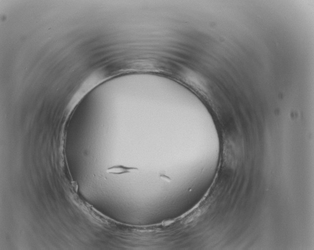 X0000060771378200511241743