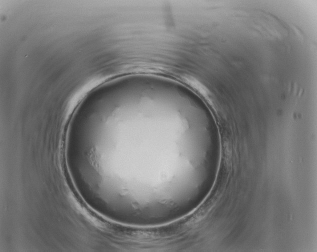 X0000060771379200511241743