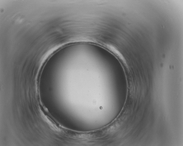 X0000060771380200511241743