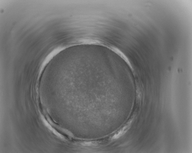 X0000060771381200511241743