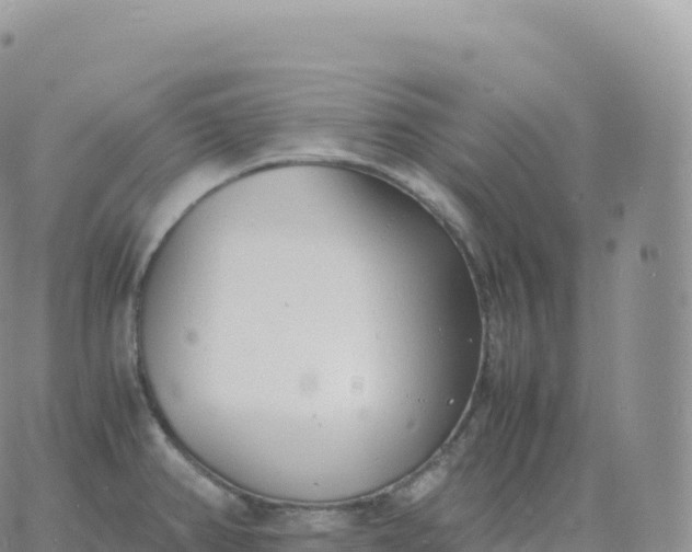 X0000060771382200511241743