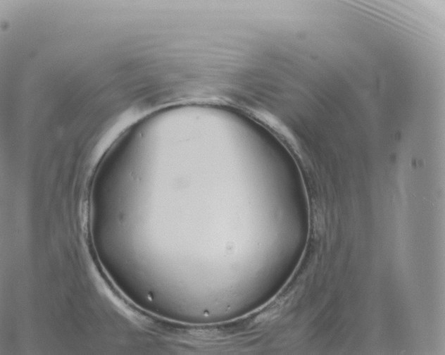 X0000060771383200511241743