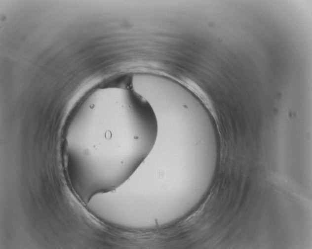 X0000060771384200511241743