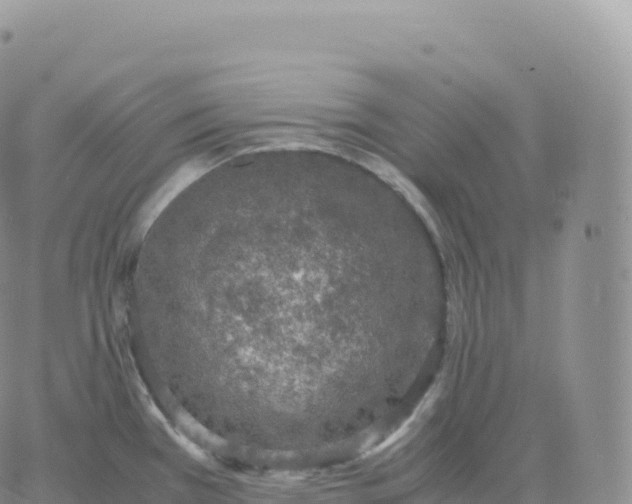 X0000060771385200511241743