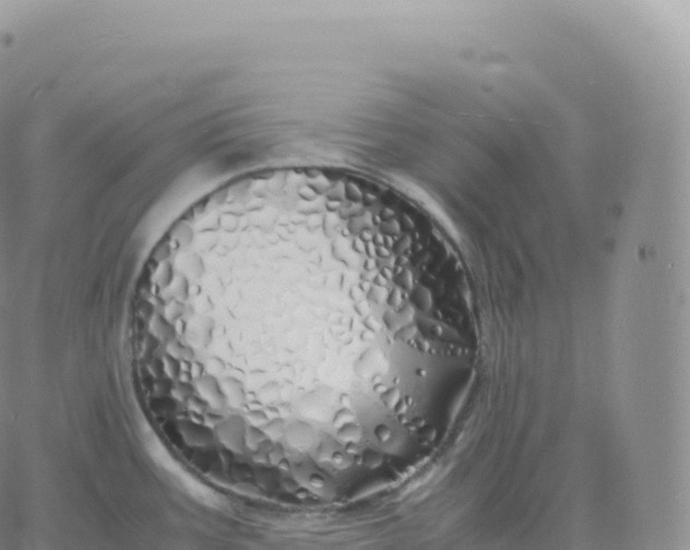 X0000060771387200511241743