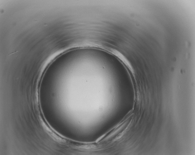 X0000060771388200511241743