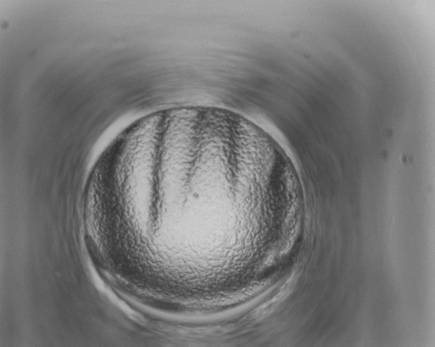 X0000060771389200511241743