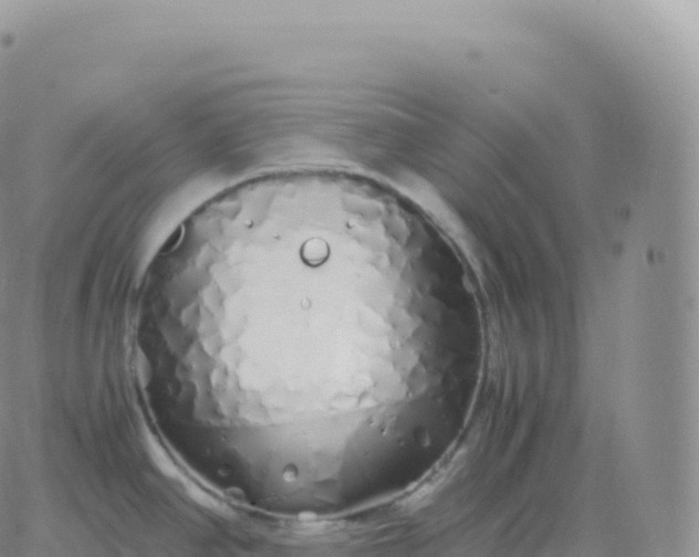 X0000060771390200511241743