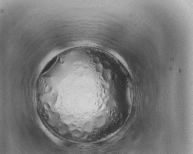 X0000060771391200511241743