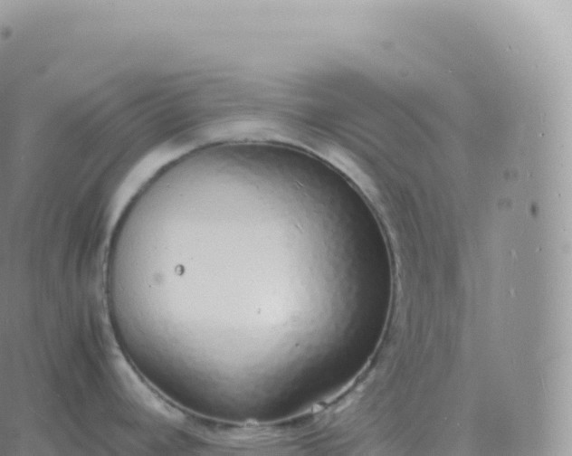 X0000060771392200511241743