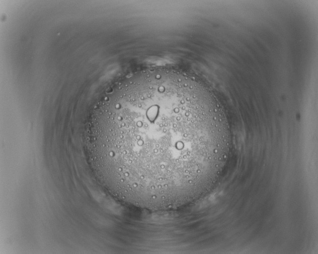 X0000060771393200511241742