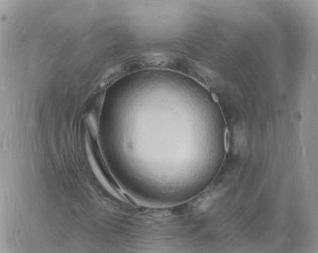 X0000060771394200511241742