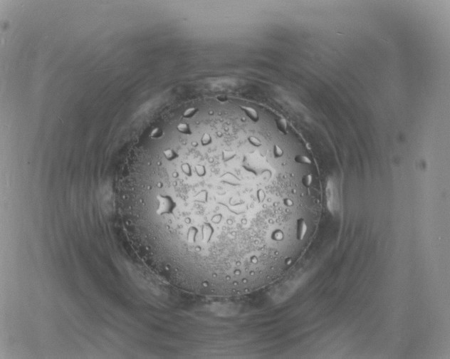 X0000060771395200511241742