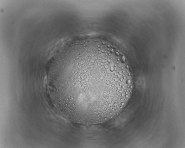 X0000060771397200511241742