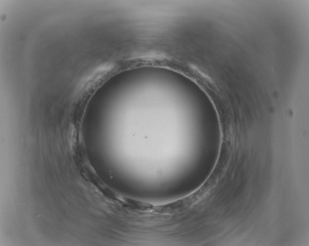 X0000060771398200511241742