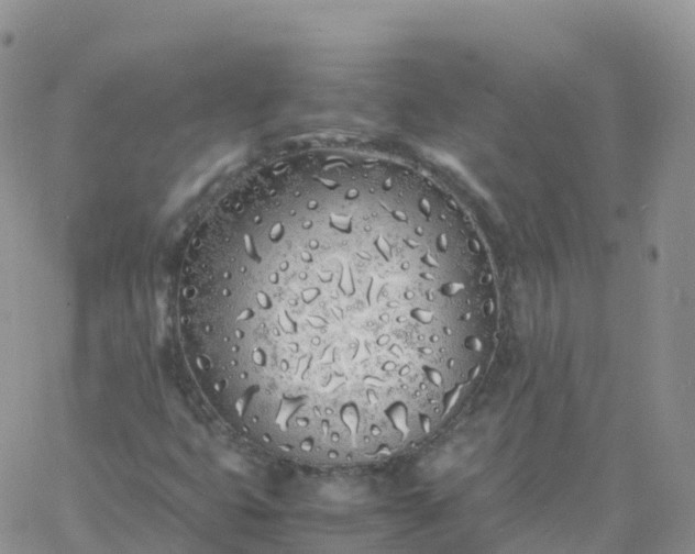 X0000060771399200511241742