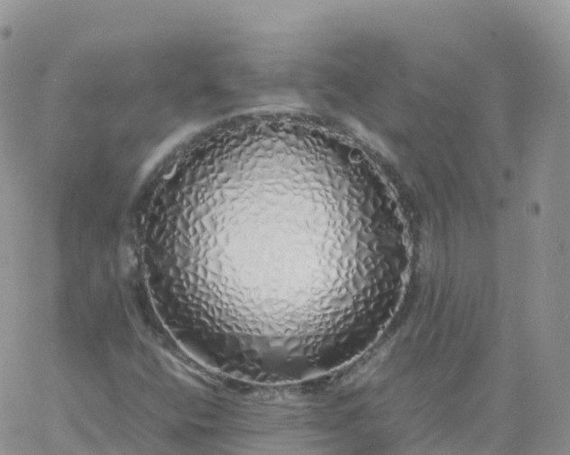 X0000060771400200511241742