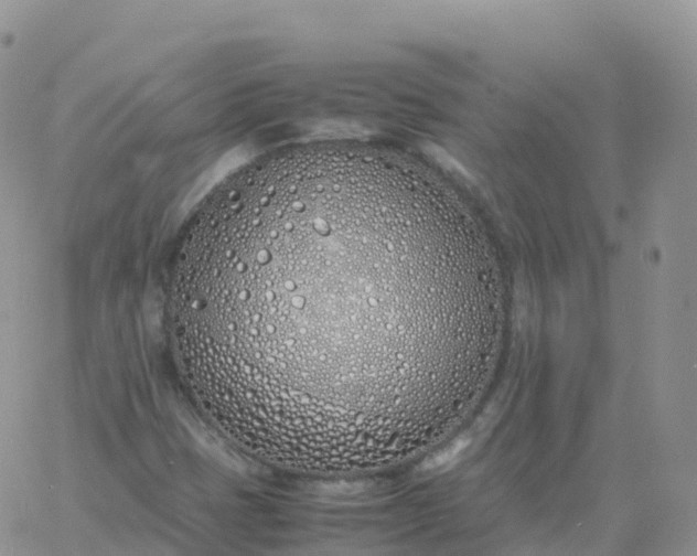 X0000060771401200511241742