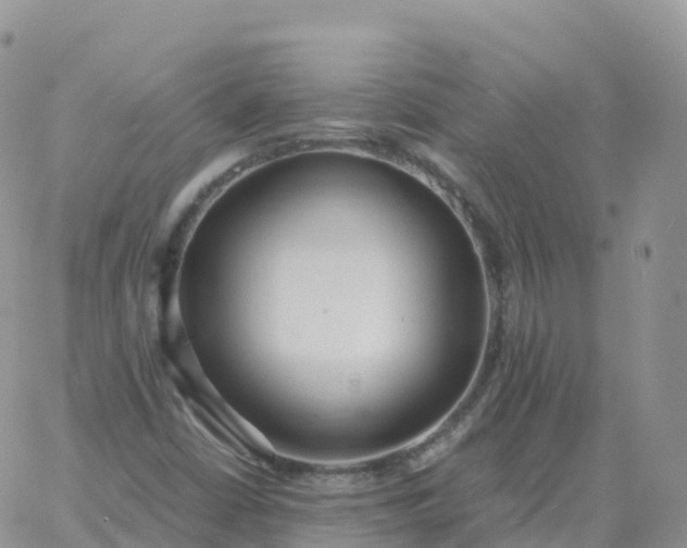 X0000060771402200511241742