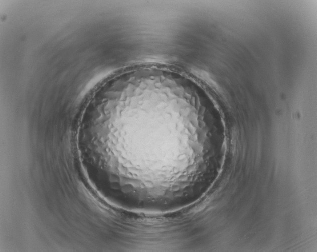 X0000060771404200511241742