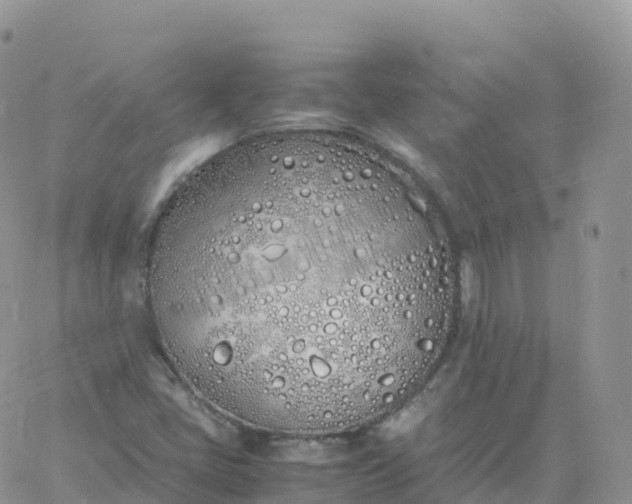 X0000060771405200511241742