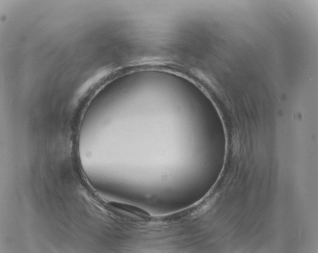 X0000060771406200511241742