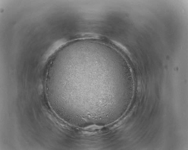 X0000060771407200511241742