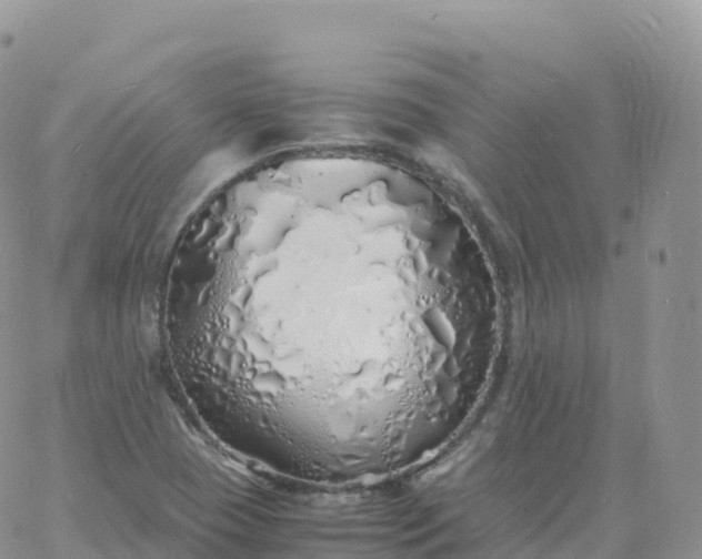 X0000060771409200511241742